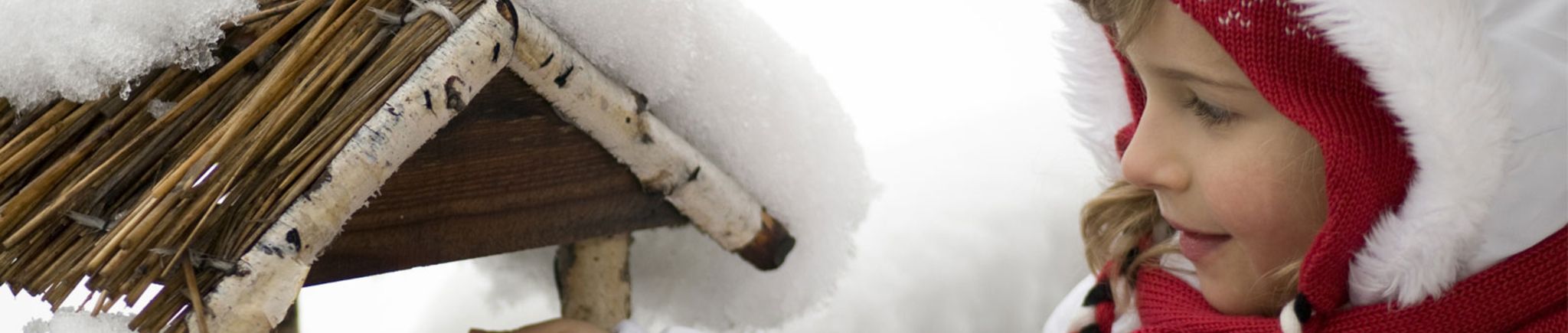 Gartenkalender Januar 2016