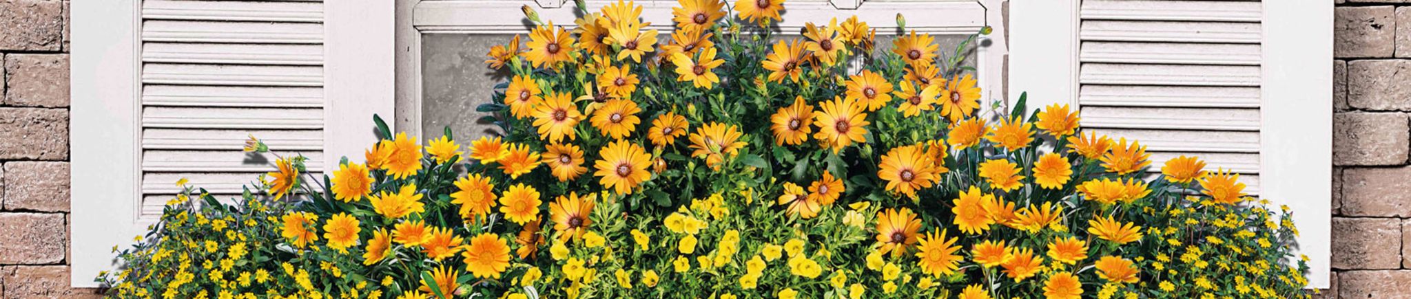 Gartenkalender April 2018
