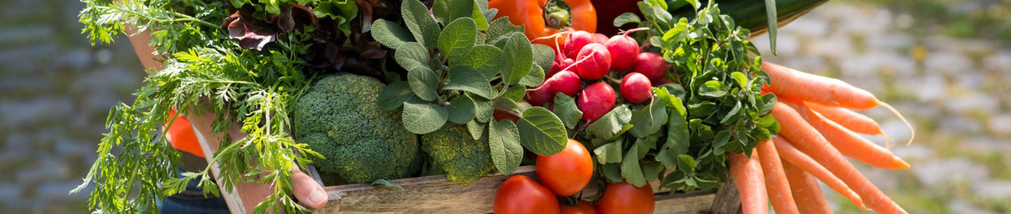 Gartenkalender April 2019
