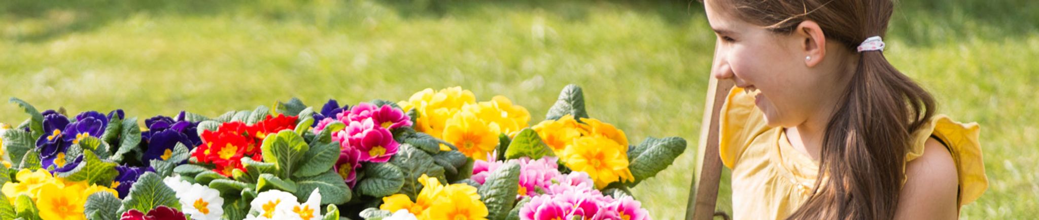Gartenkalender Februar 2018