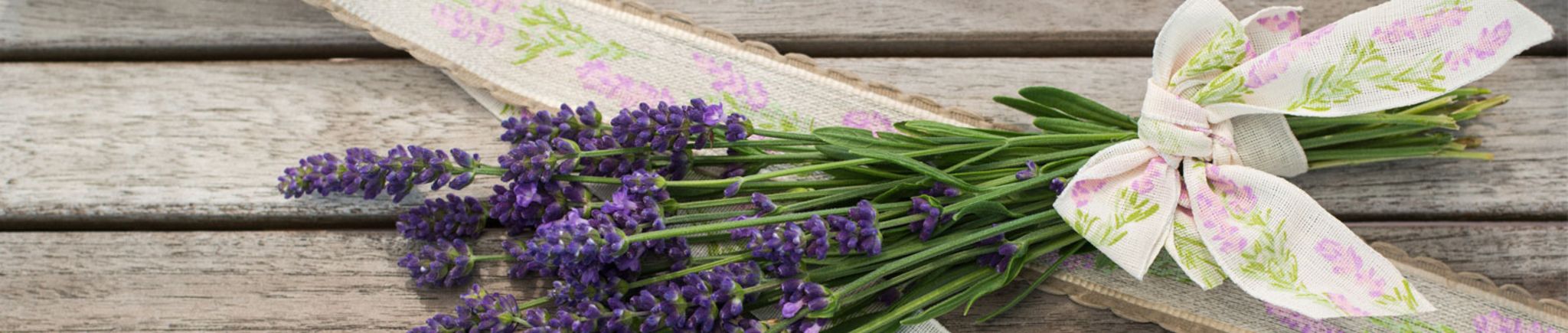 Gartenkalender Juli 2018