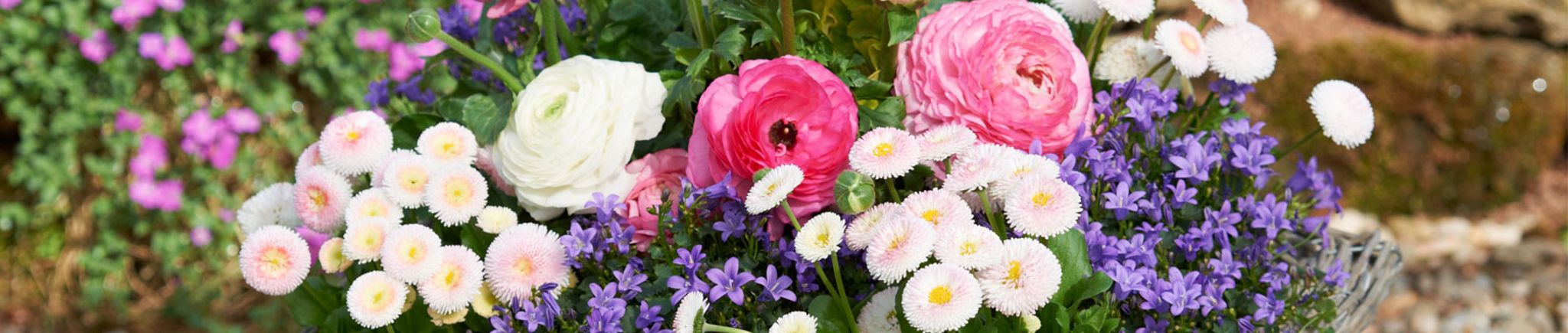 Gartenkalender März 2018