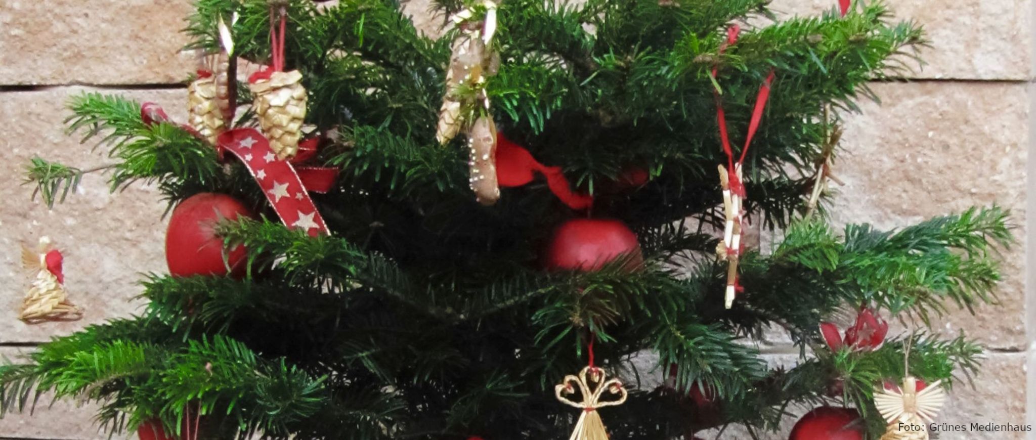 Grüner Daumen Tipp Dezember2019