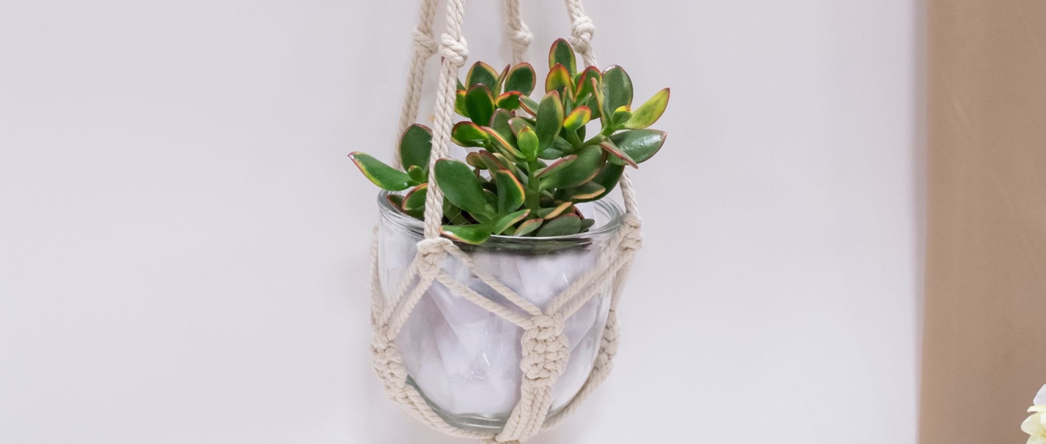 DIY-Tipp des Monats Januar
