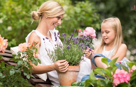 Gartenkalender August 2017