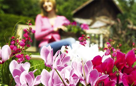 Gartenkalender September 2017